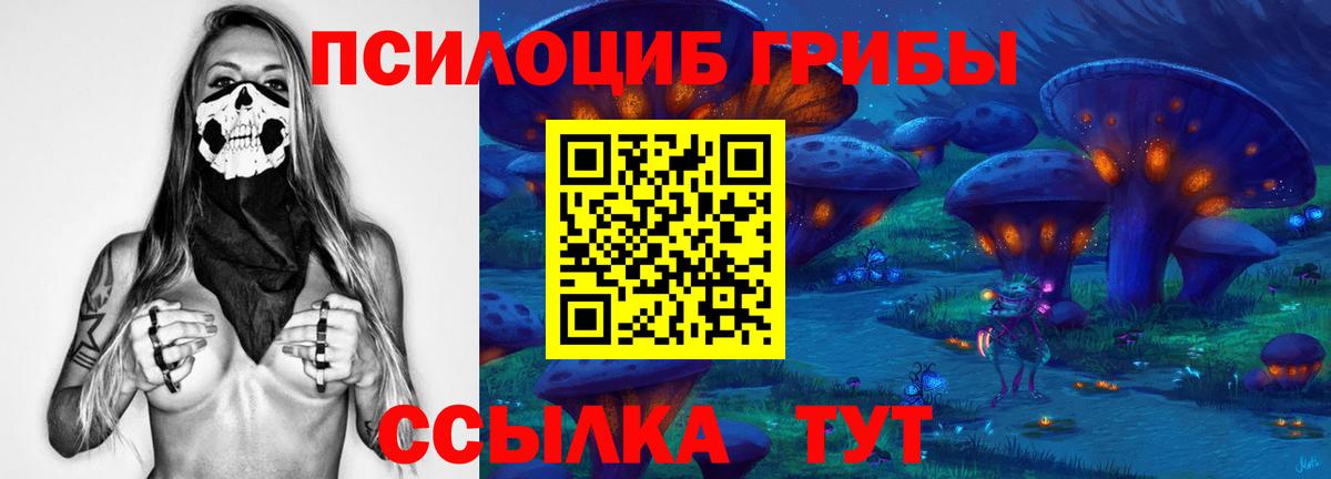 Псилоцибиновые грибы MAGIC MUSHROOMS  Галлюциногенные грибы GOLDEN TEACHER  Вход с VPN  Черногорск 
